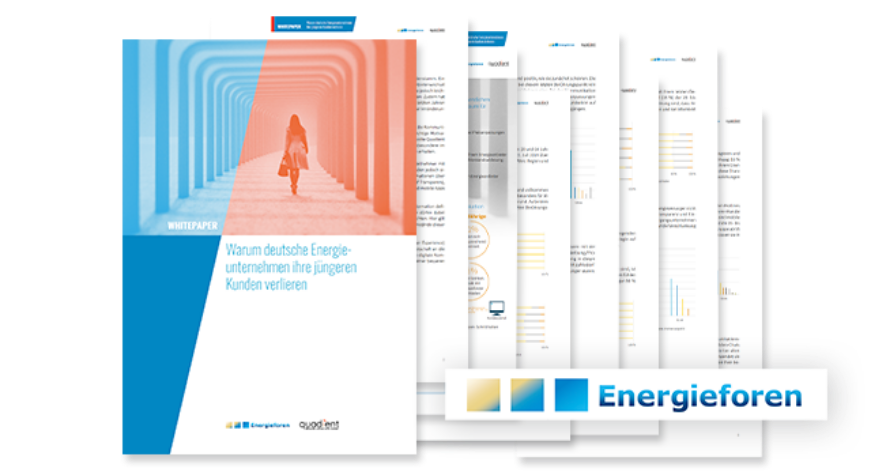 Screenshot vom Whitepaper