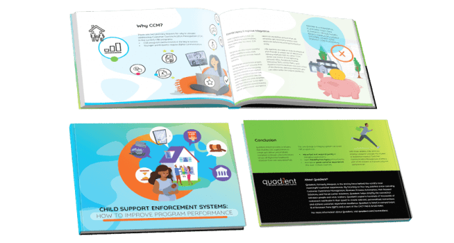 Child Support Enforcement Systems Ebook