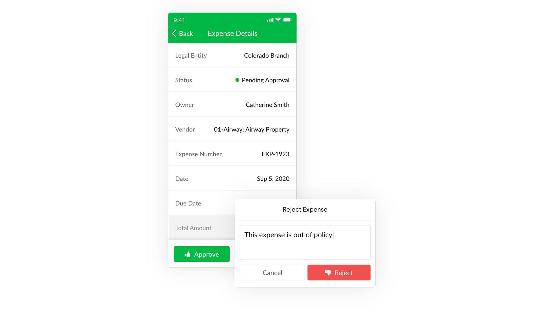expense detail management screenshot