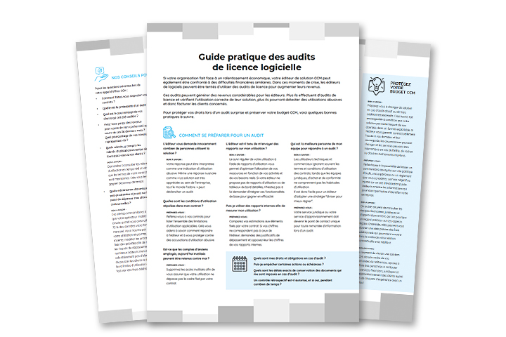 Guide pratique des audits de licence logicielle