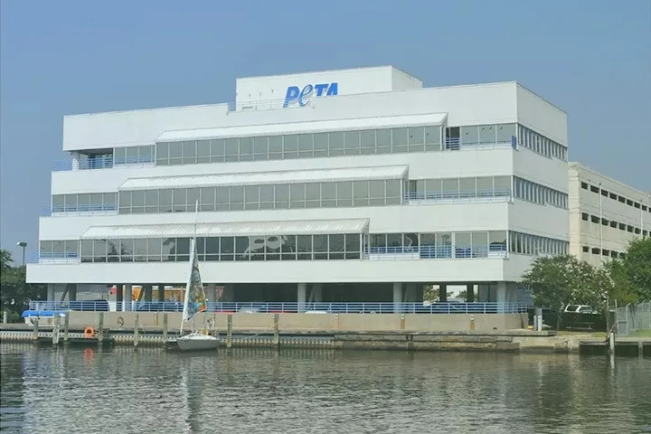 “I call it magic!” – PETA Foundation on how Quadient AP transformed its AP