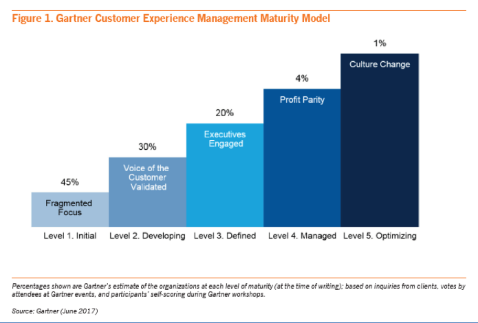 Gartner customer experience management maturity model