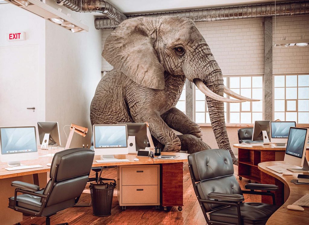 elephant in an office