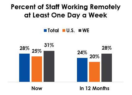 remote work 12 month trend