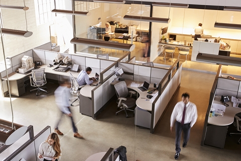 Vue surélevée du personnel travaillant dans un bureau à aire ouverte occupé