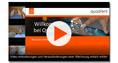 Screenshot von der Webinar-Aufzeichnung