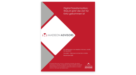 Screenshot vom Whitepaper