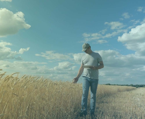 image-lassociation-canadienne-des-producteurs-de-semences-reduit-ses-pratiques-manuelles-de-pa