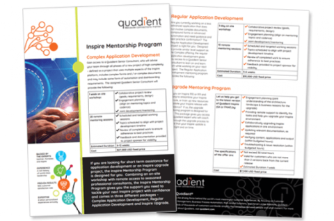 Inspire Mentorship Program