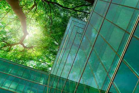 Webinaraufzeichnung: Nachhaltigkeit bei der Ausgangspost - Fahrplan für den Mittelstand