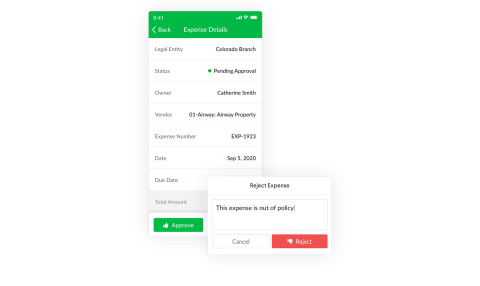 expense detail management screenshot