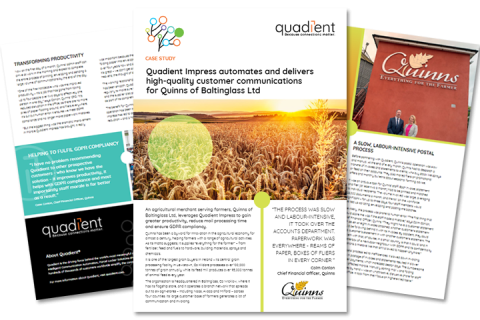 Quinns of Baltinglass Case Study