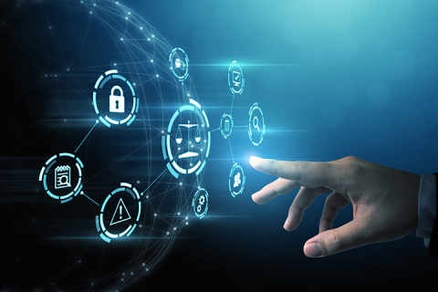 global network with regulations icon