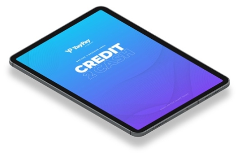 Become a Revenue Hero: Credit 2 Cash Ebook