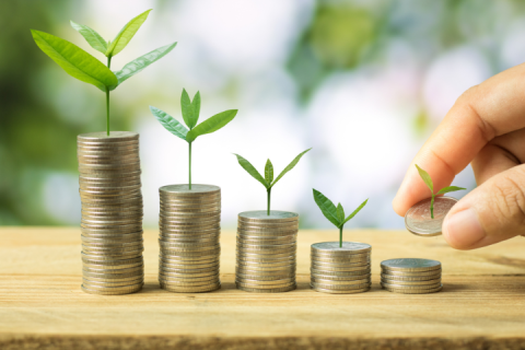 How will you celebrate Financial Awareness Day? 