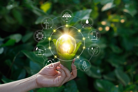 Hand holding light bulb with sustainability icons