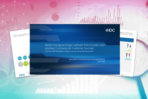 Bieten Energieversorger weltweit ihren Kunden eine positive CX entlang der Customer Journey? 