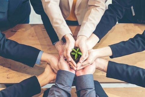 Business hands cusping a sprouting plant