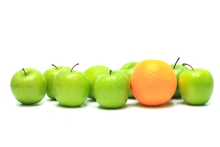 One orange in a group of green apples in front of a white background