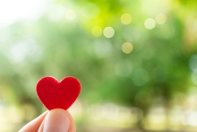 Hand hold little heart meaning feel love with green nature bokeh background.