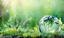 sustainability, earth on the grass