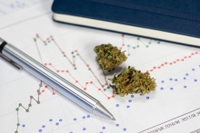 The Pentagon, cannabis and UHart: 2023’s biggest accounting fails