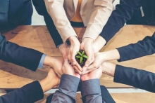 Business hands cusping a sprouting plant